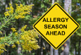 Services-allergy